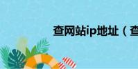 查網站ip地址(查網時)