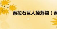 泰拉石巨人掉落物(泰拉石任務)