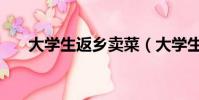 大學生返鄉賣菜(大學生返鄉賣面條)