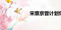 宋惠京曾計劃懷孕