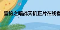 雪豹之暗戰天機正片在線看(雪豹之豹風)