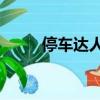 停車達人2解鎖賽車（停車達人2）