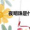 夜明珠是什么電視劇（夜明珠是什么）