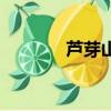 蘆芽山生態旅游區（蘆芽山）