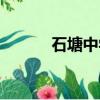 石塘中學元旦晚會（石塘中學）