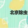 北京除蟲公司招聘（北京除蟲公司）