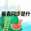 垂直同步是什么東西（垂直同步是什么意思）