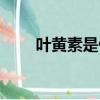 葉黃素是什么東西（葉黃素是什么）