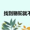 找到駱駝就不算老圖（找到駱駝就不算老）