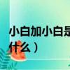 小白加小白是什么腦筋急轉彎（小白加小白是什么）
