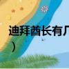 迪拜酋長有幾個王妃嗎（迪拜酋長有幾個王妃）