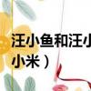 汪小魚和汪小米因為什么做試管（汪小魚和汪小米）