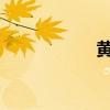 黃磊已經從北電辭職