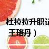 杜拉拉升職記王珞丹版電視劇（杜拉拉升職記 王珞丹）