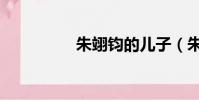 朱翊鈞的兒子(朱翊鈞)