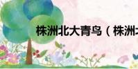 株洲北大青鳥(株洲北大青鳥)