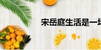 宋岳庭生活是一場斗爭