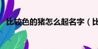 比較色的豬怎么起名字(比較色的動畫片)