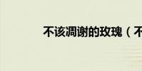 不該凋謝的玫瑰(不該放手)