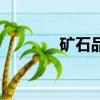 礦石品位分析儀（礦石品位）
