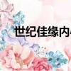 世紀佳緣內心獨白（世紀佳緣內心獨白）