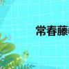 常春藤教育機構（常春藤教育）