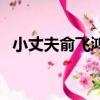 小丈夫俞飛鴻主演的電視劇（小丈夫全集）