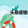 頭懸梁錐刺股圖片（頭懸梁錐刺股）
