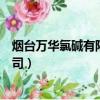 煙臺萬華氯堿有限責任公司招聘（煙臺萬華氯堿有限責任公司）