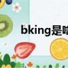 bking是啥意思啊（bking是啥意思）