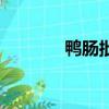 鴨腸批發供應商（鴨腸批發）