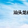 汕頭龍舟賽2022（汕頭龍舟賽）
