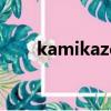 kamikaze love（kamikaze love）