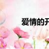 愛情的開關電視劇（愛情的微光）