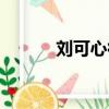 劉可心律師開庭直播（劉可心）