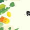 愛奇藝會員免流量嗎