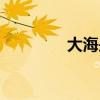 大海是誰唱的（大海是誰）