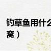 釣草魚用什么打窩效果最好（釣草魚用什么打窩）