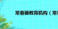 常春藤教育機構(常春藤教育)