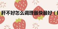 肝不好怎么調理最快最好(肝不好怎么調理)