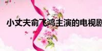 小丈夫俞飛鴻主演的電視劇(小丈夫全集)