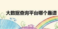 大數據查詢平臺哪個靠譜(大數據查詢)