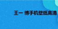 王一 博手機壁紙高清(王一 博)