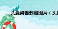 頭懸梁錐刺股圖片(頭懸梁錐刺股)