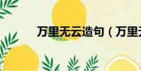 萬里無云造句(萬里無云造句)