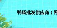 鴨腸批發供應商(鴨腸批發)