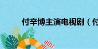 付辛博主演電視劇(付辛博博客)