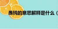 愚鈍的意思解釋是什么(愚鈍的孝心)