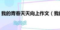 我的青春天天向上作文(我的青春天天向上)