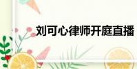 劉可心律師開庭直播(劉可心)